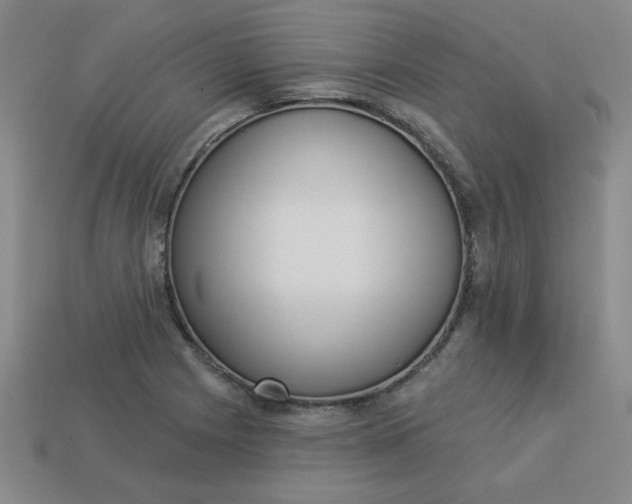 X0000113981225200910161615