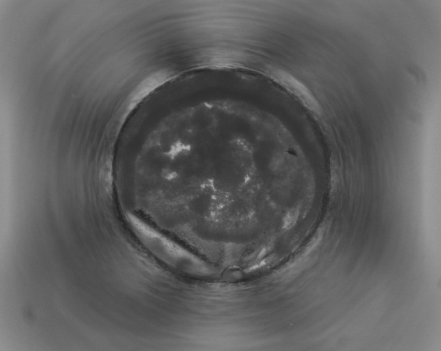 X0000113981226200910161615