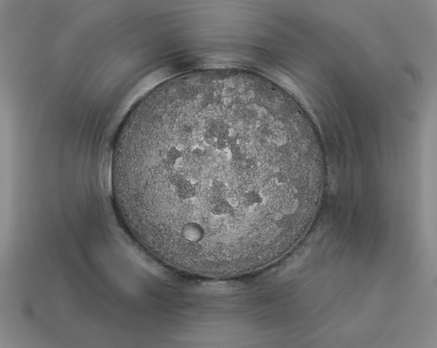 X0000113981227200910161615