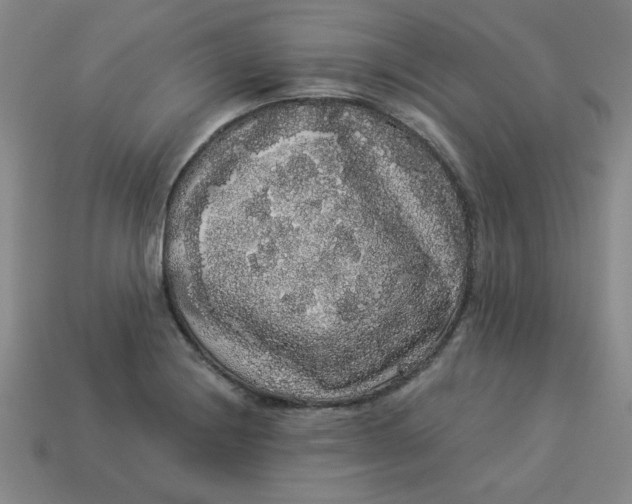 X0000113981228200910161615