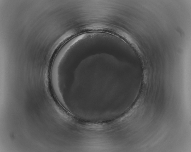 X0000113981229200910161615