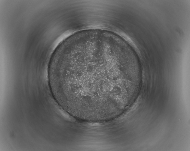 X0000113981230200910161615