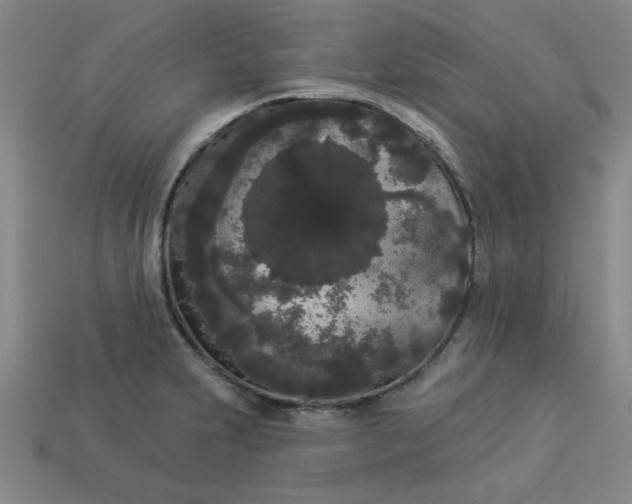 X0000113981231200910161615