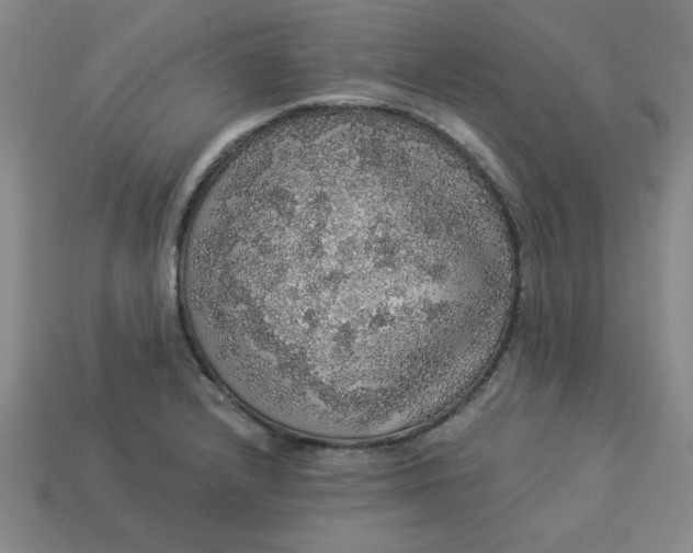 X0000113981232200910161615