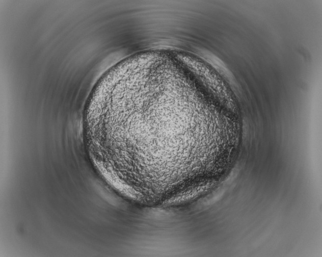 X0000113981234200910161615