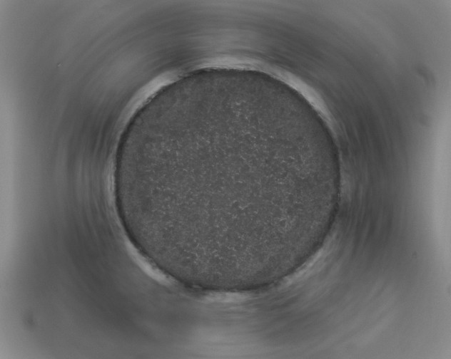 X0000113981237200910161615