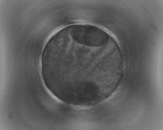 X0000113981239200910161615