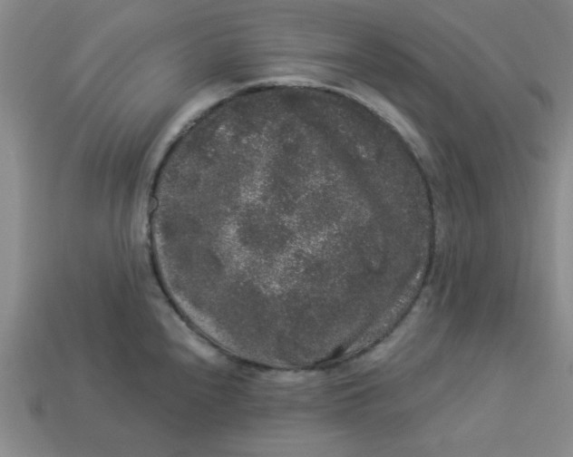 X0000113981240200910161615