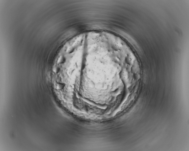 X0000113981241200910161615