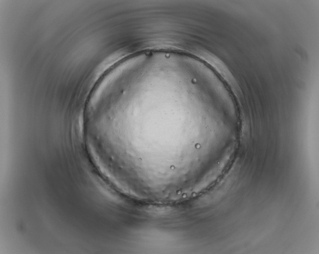 X0000113981242200910161615