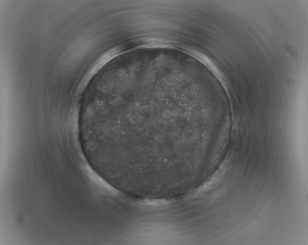 X0000113981243200910161615