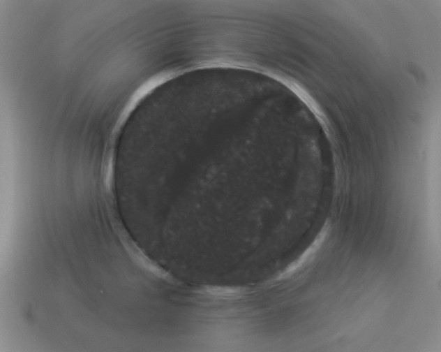 X0000113981246200910161615