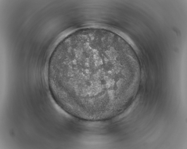 X0000113981247200910161615