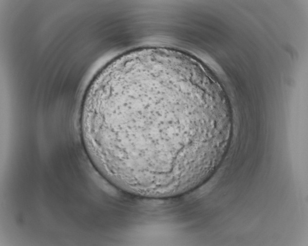 X0000113981248200910161615