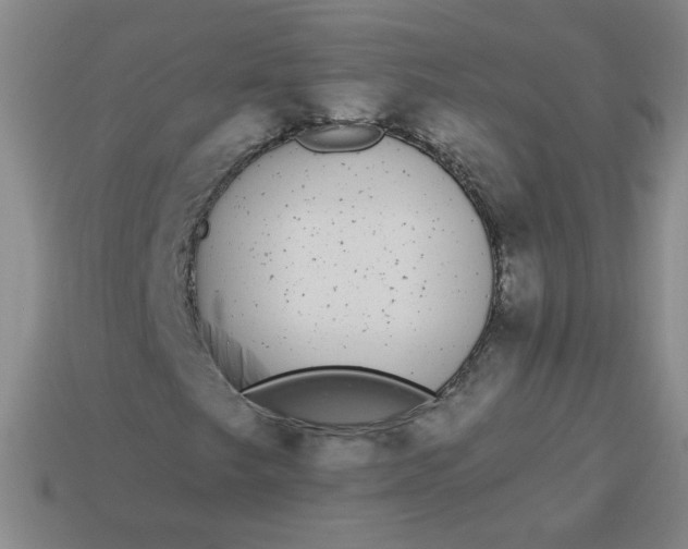 X0000113981249200910161614