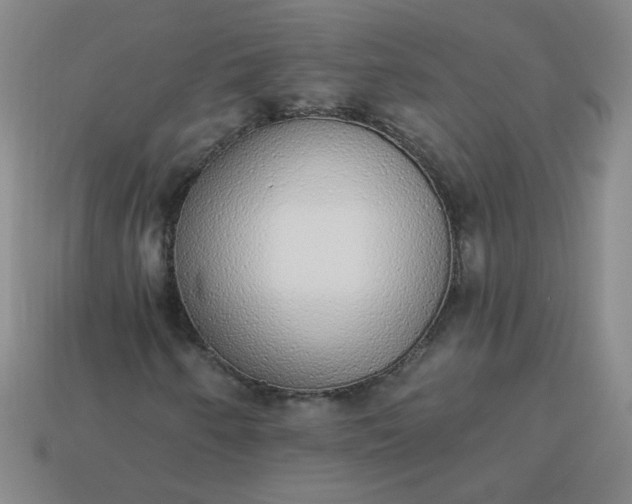 X0000113981250200910161614