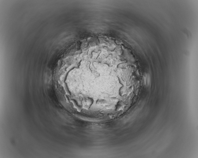 X0000113981251200910161614