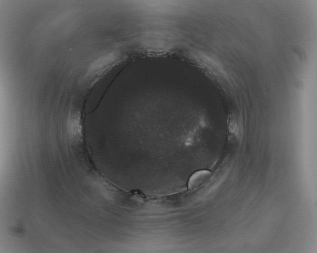 X0000113981252200910161614