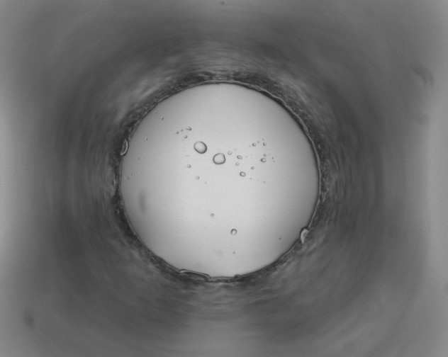 X0000113981253200910161614