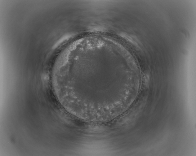 X0000113981254200910161614