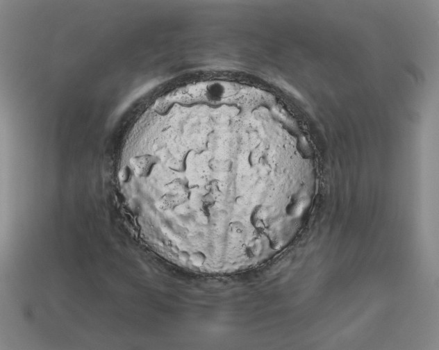 X0000113981255200910161614