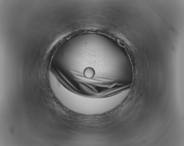 X0000113981256200910161614