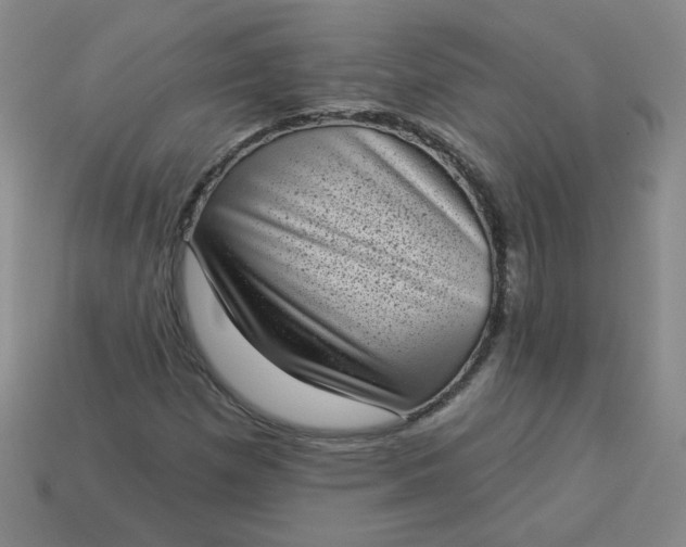 X0000113981257200910161614