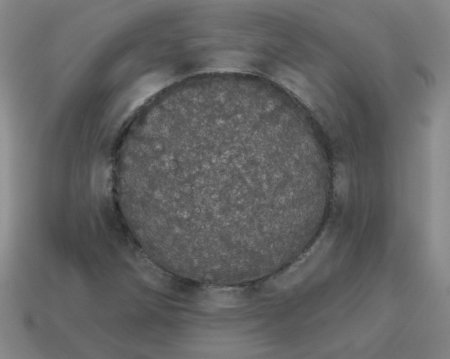 X0000113981258200910161614