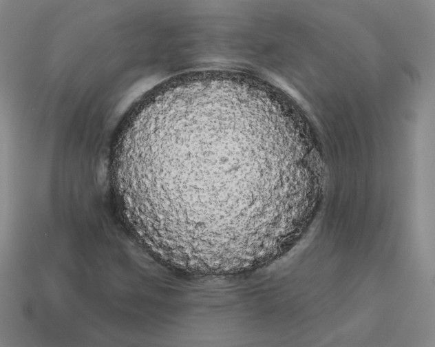 X0000113981259200910161614