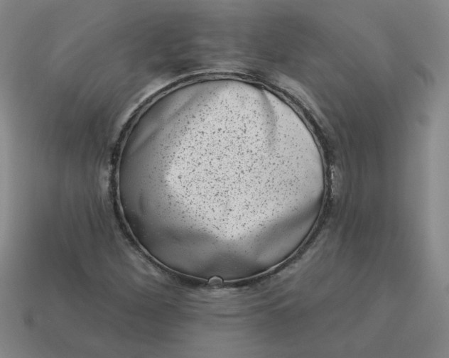 X0000113981260200910161614