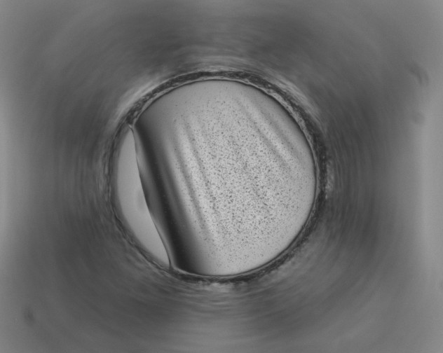 X0000113981261200910161614