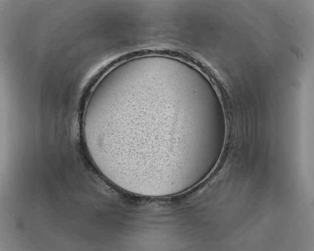 X0000113981262200910161614