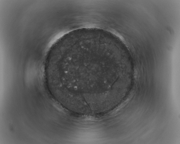 X0000113981263200910161614