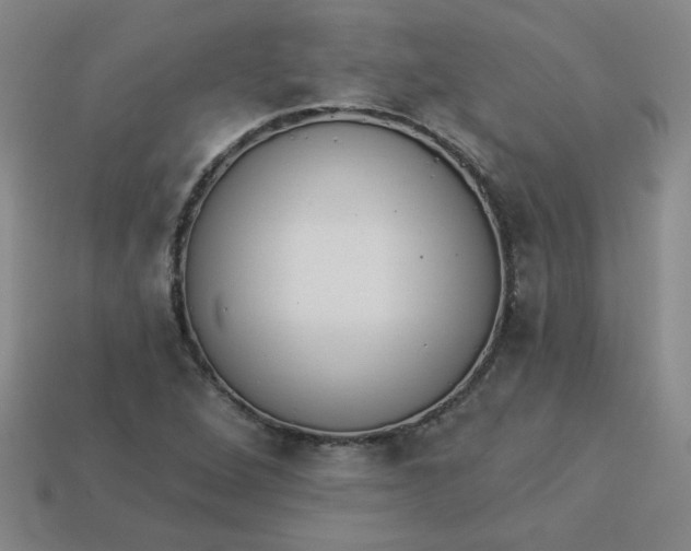 X0000113981264200910161614