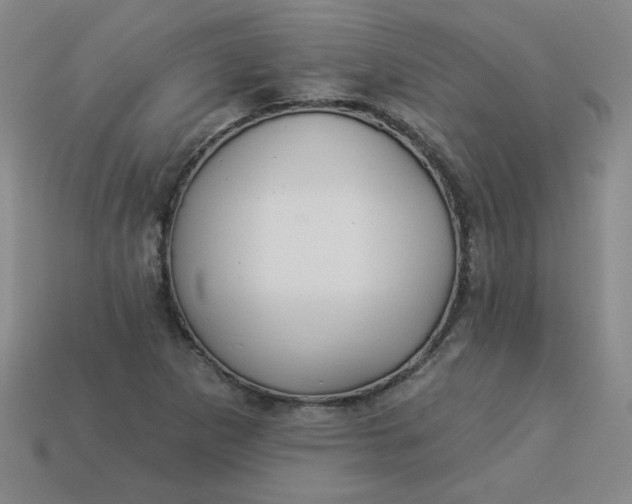 X0000113981265200910161614