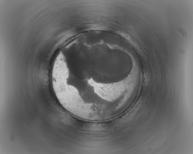 X0000113981266200910161614