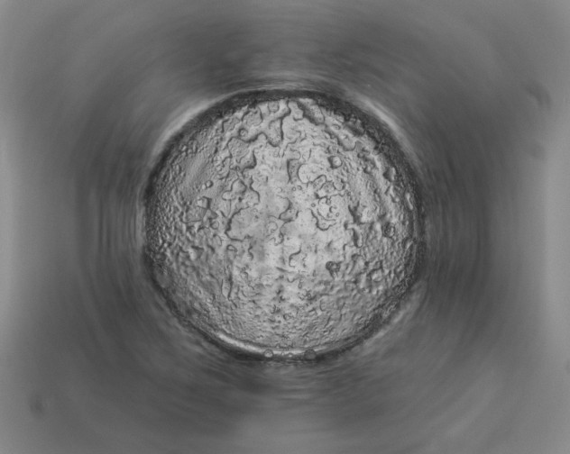 X0000113981267200910161614