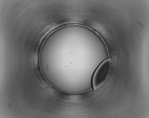 X0000113981268200910161614