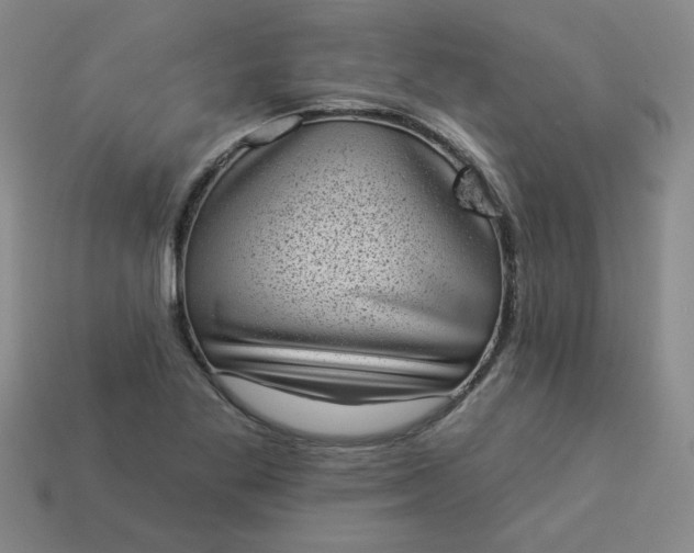 X0000113981269200910161614