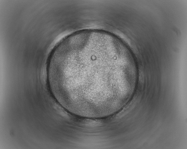 X0000113981270200910161614