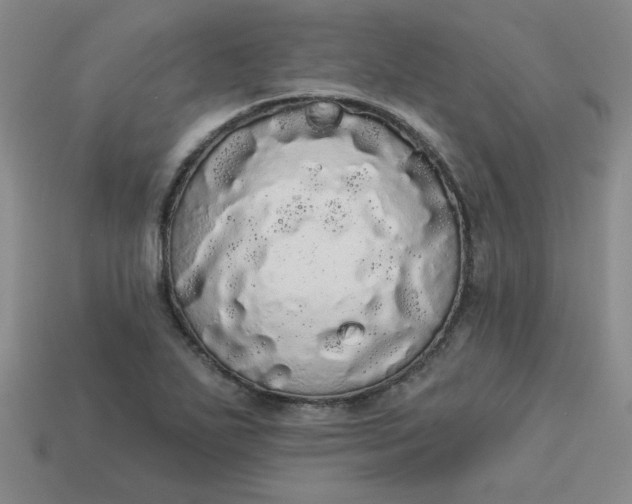 X0000113981271200910161614