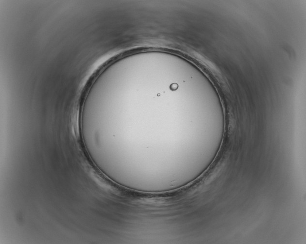 X0000113981272200910161614