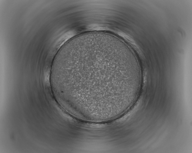 X0000113981273200910161614