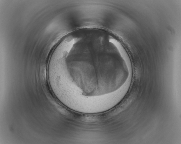 X0000113981274200910161614