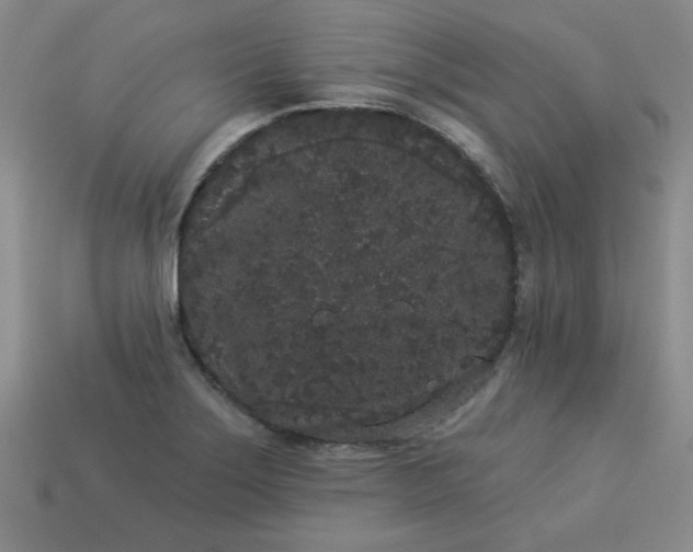 X0000113981275200910161614