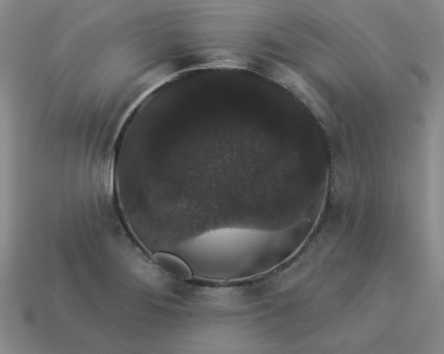 X0000113981276200910161614