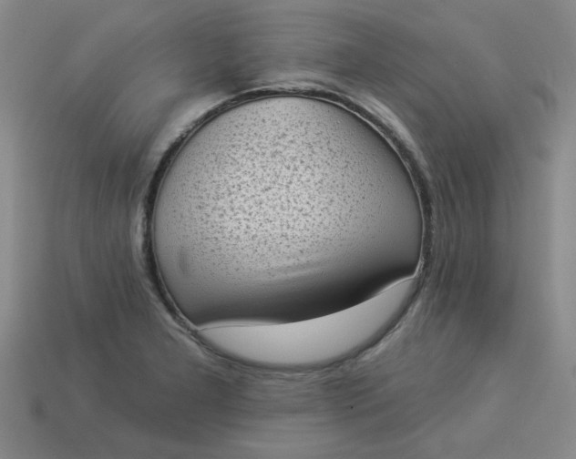 X0000113981277200910161614