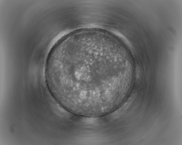 X0000113981278200910161614