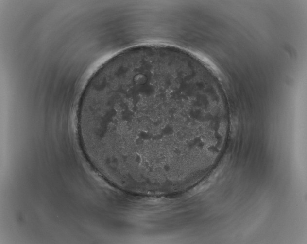 X0000113981279200910161614