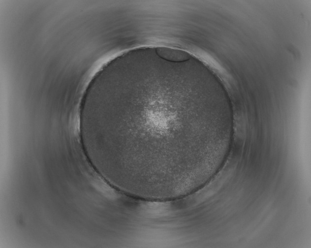 X0000113981280200910161614